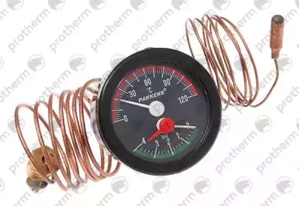 Термометр для Protherm