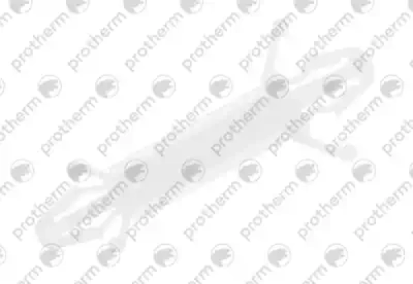 Крепление платы управления для Protherm