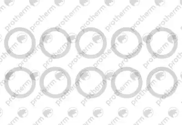 Прокладка 30x22x2 (x10) Protherm