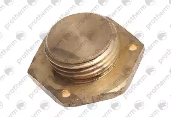 Заглушка 1/2 Protherm