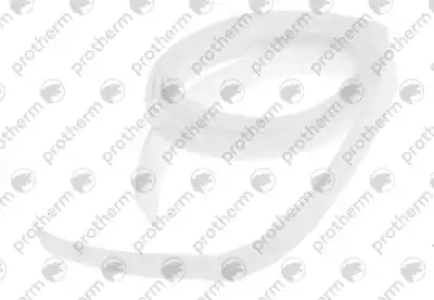 Уплотнительный шнур 15х2 для Protherm