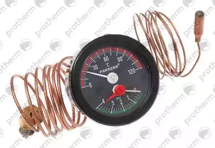 Термометр для Protherm