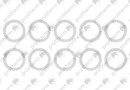 Прокладка 30x22x2 (x10) Protherm